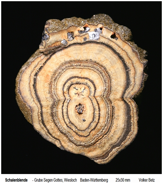 Schalenblende 2