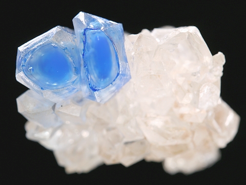 Becherquarze gef&uuml;llt