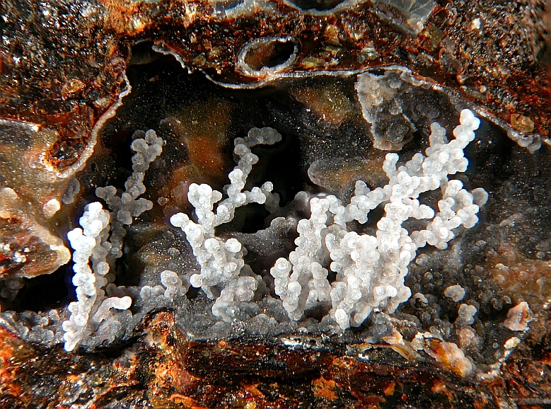 Phillipsite